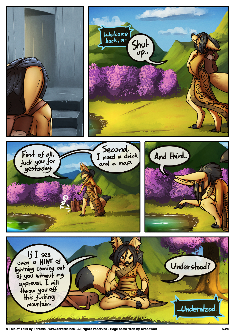 Page 25